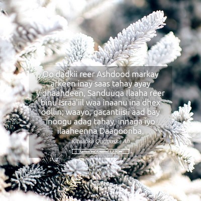 Picture 05 - Samuu'eel Kowaad 5:7 SOM - Oo dadkii reer Ashdood markay arkeen inay saas - Bible Verse Picture