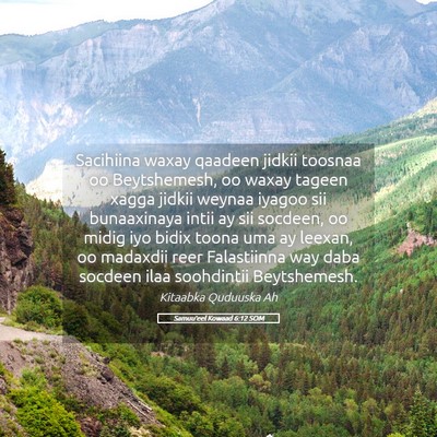Picture 05 - Samuu'eel Kowaad 6:12 SOM - Sacihiina waxay qaadeen jidkii toosnaa oo - Bible Verse Picture