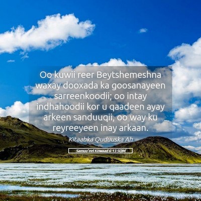 Picture 05 - Samuu'eel Kowaad 6:13 SOM - Oo kuwii reer Beytshemeshna waxay dooxada ka - Bible Verse Picture