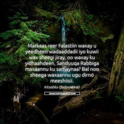 Picture 05 - Samuu'eel Kowaad 6:2 SOM - Markaas reer Falastiin waxay u yeedheen - Bible Verse Picture