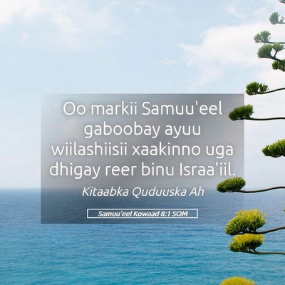 Picture 05 - Samuu'eel Kowaad 8:1 SOM - Oo markii Samuu'eel gaboobay ayuu wiilashiisii - Bible Verse Picture