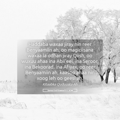 Picture 05 - Samuu'eel Kowaad 9:1 SOM - Haddaba waxaa jiray nin reer Benyaamiin ah, oo - Bible Verse Picture
