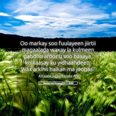 Picture 05 - Samuu'eel Kowaad 9:11 SOM - Oo markay soo fuulayeen jiirtii magaalada waxay - Bible Verse Picture