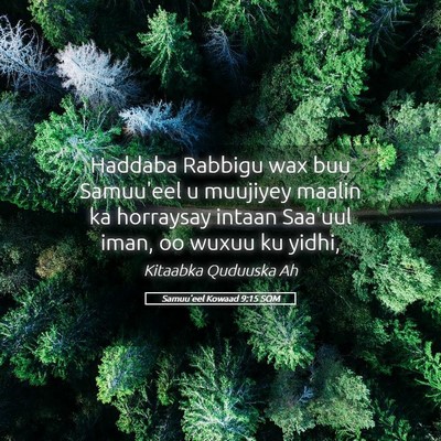 Picture 05 - Samuu'eel Kowaad 9:15 SOM - Haddaba Rabbigu wax buu Samuu'eel u muujiyey - Bible Verse Picture