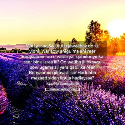 Picture 05 - Samuu'eel Kowaad 9:21 SOM - Markaasaa Saa'uul u jawaabay oo ku yidhi, War sow - Bible Verse Picture