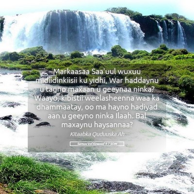 Picture 05 - Samuu'eel Kowaad 9:7 SOM - Markaasaa Saa'uul wuxuu midiidinkiisii ku yidhi, - Bible Verse Picture