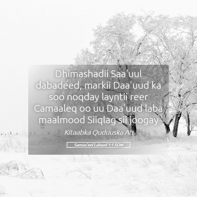 Picture 05 - Samuu'eel Labaad 1:1 SOM - Dhimashadii Saa'uul dabadeed, markii Daa'uud ka - Bible Verse Picture