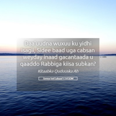 Picture 05 - Samuu'eel Labaad 1:14 SOM - Daa'uudna wuxuu ku yidhi isagii, Sidee baad uga - Bible Verse Picture