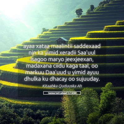 Picture 05 - Samuu'eel Labaad 1:2 SOM - ayaa xataa maalintii saddexaad nin ka yimid - Bible Verse Picture