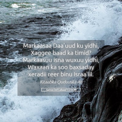 Picture 05 - Samuu'eel Labaad 1:3 SOM - Markaasaa Daa'uud ku yidhi, Xaggee baad ka timid? - Bible Verse Picture