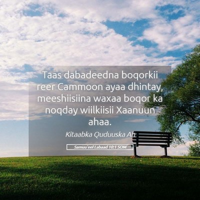 Picture 05 - Samuu'eel Labaad 10:1 SOM - Taas dabadeedna boqorkii reer Cammoon ayaa - Bible Verse Picture