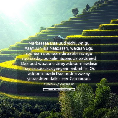 Picture 05 - Samuu'eel Labaad 10:2 SOM - Markaasaa Daa'uud yidhi, Anigu Xaanuun ina - Bible Verse Picture