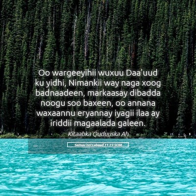 Picture 05 - Samuu'eel Labaad 11:23 SOM - Oo wargeeyihii wuxuu Daa'uud ku yidhi, Nimankii - Bible Verse Picture