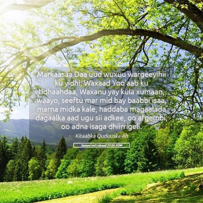 Picture 05 - Samuu'eel Labaad 11:25 SOM - Markaasaa Daa'uud wuxuu wargeeyihii ku yidhi, - Bible Verse Picture