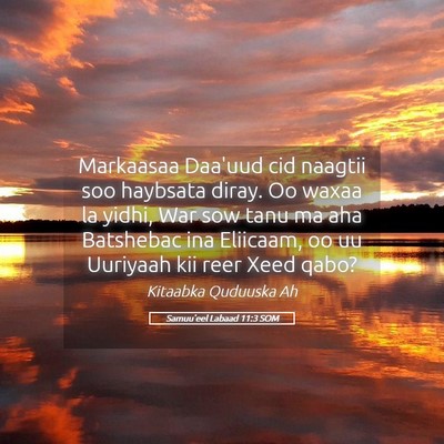 Picture 05 - Samuu'eel Labaad 11:3 SOM - Markaasaa Daa'uud cid naagtii soo haybsata diray. - Bible Verse Picture