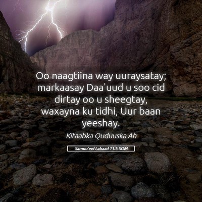 Picture 05 - Samuu'eel Labaad 11:5 SOM - Oo naagtiina way uuraysatay; markaasay Daa'uud u - Bible Verse Picture