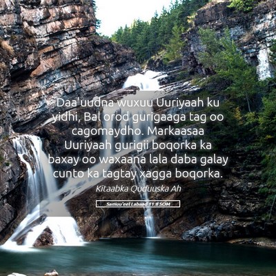 Picture 05 - Samuu'eel Labaad 11:8 SOM - Daa'uudna wuxuu Uuriyaah ku yidhi, Bal orod - Bible Verse Picture