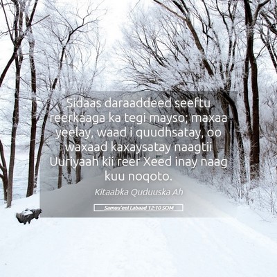 Picture 05 - Samuu'eel Labaad 12:10 SOM - Sidaas daraaddeed seeftu reerkaaga ka tegi mayso; - Bible Verse Picture