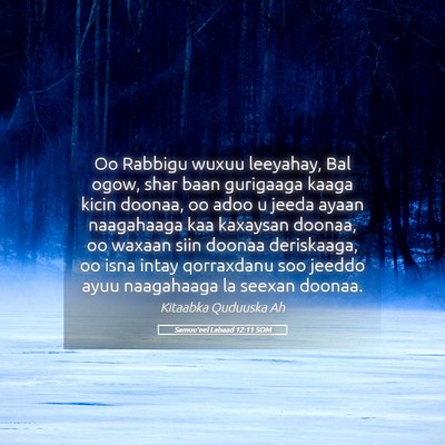 Picture 05 - Samuu'eel Labaad 12:11 SOM - Oo Rabbigu wuxuu leeyahay, Bal ogow, shar baan - Bible Verse Picture