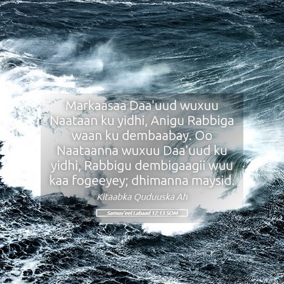 Picture 05 - Samuu'eel Labaad 12:13 SOM - Markaasaa Daa'uud wuxuu Naataan ku yidhi, Anigu - Bible Verse Picture