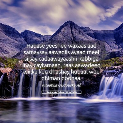 Picture 05 - Samuu'eel Labaad 12:14 SOM - Habase yeeshee waxaas aad samaysay aawadiis ayaad - Bible Verse Picture
