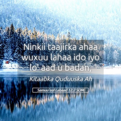 Picture 05 - Samuu'eel Labaad 12:2 SOM - Ninkii taajirka ahaa wuxuu lahaa ido iyo lo' aad - Bible Verse Picture