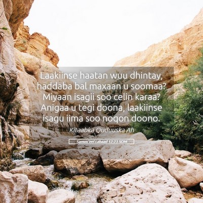 Picture 05 - Samuu'eel Labaad 12:23 SOM - Laakiinse haatan wuu dhintay, haddaba bal maxaan - Bible Verse Picture