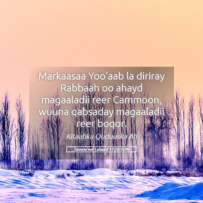 Picture 05 - Samuu'eel Labaad 12:26 SOM - Markaasaa Yoo'aab la diriray Rabbaah oo ahayd - Bible Verse Picture