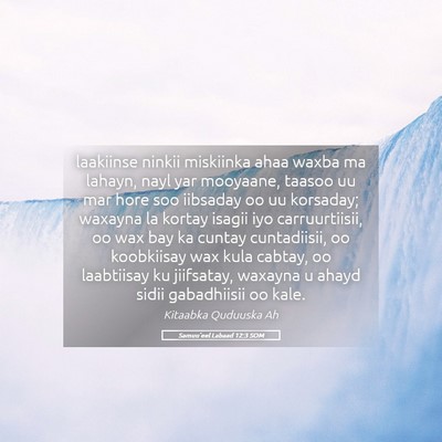 Picture 05 - Samuu'eel Labaad 12:3 SOM - laakiinse ninkii miskiinka ahaa waxba ma lahayn, - Bible Verse Picture
