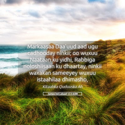 Picture 05 - Samuu'eel Labaad 12:5 SOM - Markaasaa Daa'uud aad ugu cadhooday ninkii; oo - Bible Verse Picture