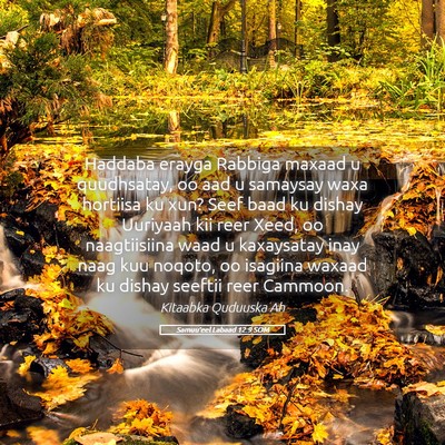 Picture 05 - Samuu'eel Labaad 12:9 SOM - Haddaba erayga Rabbiga maxaad u quudhsatay, oo - Bible Verse Picture
