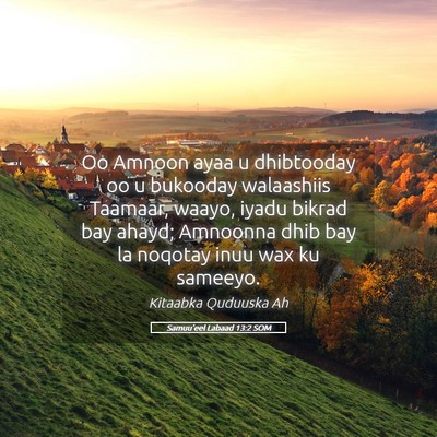Picture 05 - Samuu'eel Labaad 13:2 SOM - Oo Amnoon ayaa u dhibtooday oo u bukooday - Bible Verse Picture