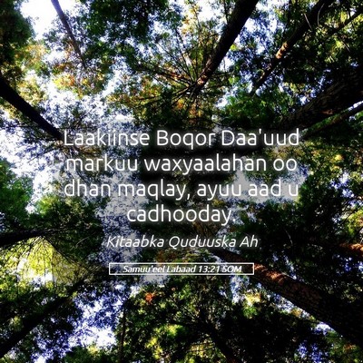 Picture 05 - Samuu'eel Labaad 13:21 SOM - Laakiinse Boqor Daa'uud markuu waxyaalahan oo - Bible Verse Picture