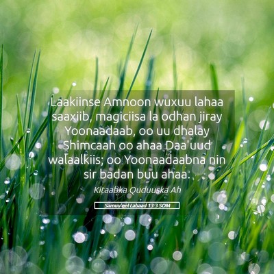 Picture 05 - Samuu'eel Labaad 13:3 SOM - Laakiinse Amnoon wuxuu lahaa saaxiib, magiciisa - Bible Verse Picture