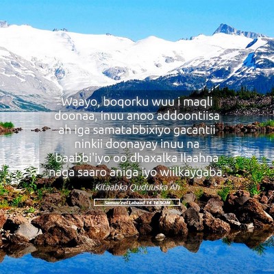 Picture 05 - Samuu'eel Labaad 14:16 SOM - Waayo, boqorku wuu i maqli doonaa, inuu anoo - Bible Verse Picture