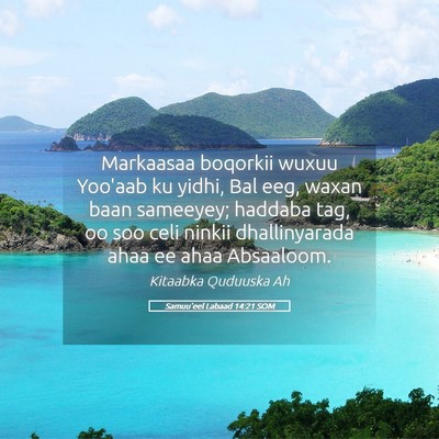 Picture 05 - Samuu'eel Labaad 14:21 SOM - Markaasaa boqorkii wuxuu Yoo'aab ku yidhi, Bal - Bible Verse Picture