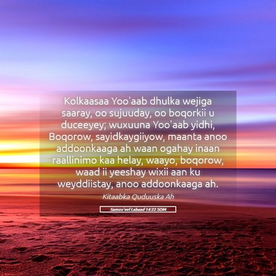 Picture 05 - Samuu'eel Labaad 14:22 SOM - Kolkaasaa Yoo'aab dhulka wejiga saaray, oo - Bible Verse Picture
