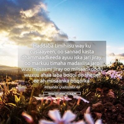 Picture 05 - Samuu'eel Labaad 14:26 SOM - Haddaba timihiisu way ku cuslaayeen, oo sannad - Bible Verse Picture