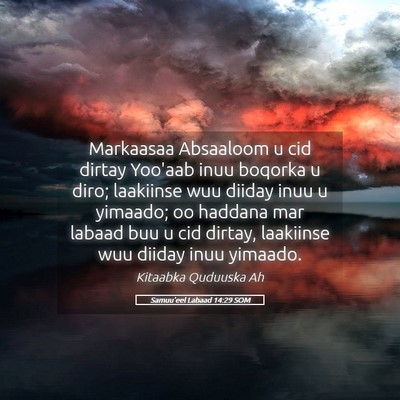 Picture 05 - Samuu'eel Labaad 14:29 SOM - Markaasaa Absaaloom u cid dirtay Yoo'aab inuu - Bible Verse Picture