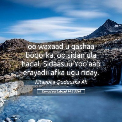 Picture 05 - Samuu'eel Labaad 14:3 SOM - oo waxaad u gashaa boqorka, oo sidan ula hadal. - Bible Verse Picture