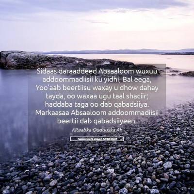 Picture 05 - Samuu'eel Labaad 14:30 SOM - Sidaas daraaddeed Absaaloom wuxuu addoommadiisii - Bible Verse Picture