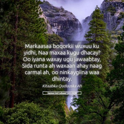 Picture 05 - Samuu'eel Labaad 14:5 SOM - Markaasaa boqorkii wuxuu ku yidhi, Naa maxaa kugu - Bible Verse Picture
