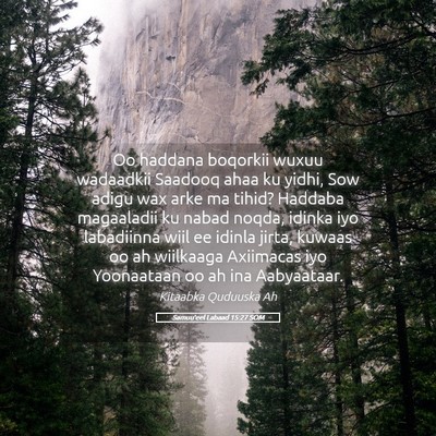 Picture 05 - Samuu'eel Labaad 15:27 SOM - Oo haddana boqorkii wuxuu wadaadkii Saadooq ahaa - Bible Verse Picture