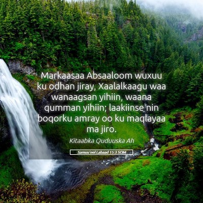 Picture 05 - Samuu'eel Labaad 15:3 SOM - Markaasaa Absaaloom wuxuu ku odhan jiray, - Bible Verse Picture
