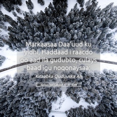 Picture 05 - Samuu'eel Labaad 15:33 SOM - Markaasaa Daa'uud ku yidhi, Haddaad i raacdo oo - Bible Verse Picture