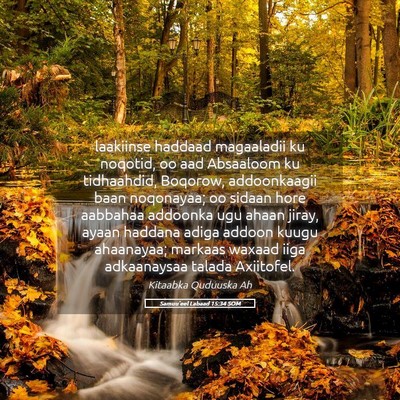 Picture 05 - Samuu'eel Labaad 15:34 SOM - laakiinse haddaad magaaladii ku noqotid, oo aad - Bible Verse Picture