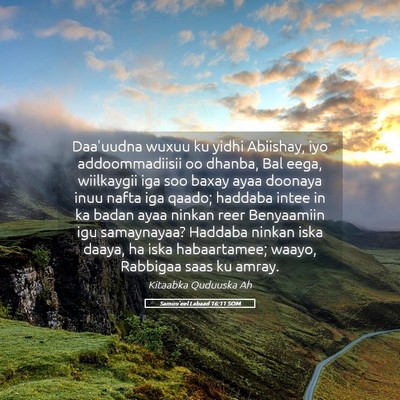 Picture 05 - Samuu'eel Labaad 16:11 SOM - Daa'uudna wuxuu ku yidhi Abiishay, iyo - Bible Verse Picture