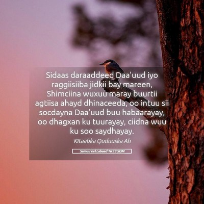 Picture 05 - Samuu'eel Labaad 16:13 SOM - Sidaas daraaddeed Daa'uud iyo raggiisiiba jidkii - Bible Verse Picture