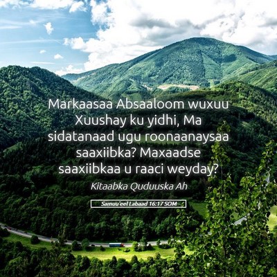 Picture 05 - Samuu'eel Labaad 16:17 SOM - Markaasaa Absaaloom wuxuu Xuushay ku yidhi, Ma - Bible Verse Picture