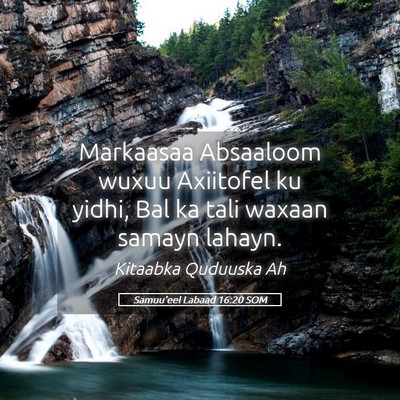 Picture 05 - Samuu'eel Labaad 16:20 SOM - Markaasaa Absaaloom wuxuu Axiitofel ku yidhi, Bal - Bible Verse Picture